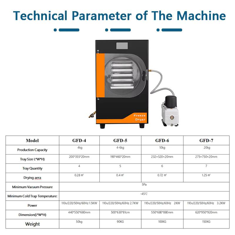 20Kg Automatic Gear Freeze Mac - Food With Snacks review and price