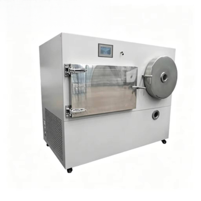 Food-grade Vacuum Freeze Dryer - Food With Snacks review and price