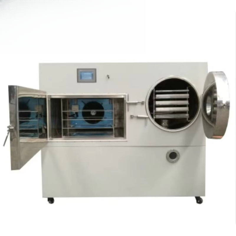 Food-grade Vacuum Freeze Dryer - Food With Snacks review and price